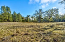 Lynch Canyon Road, Bradley, CA 93426