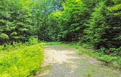 Lot 29 Shore Road, Fayette, ME 04349