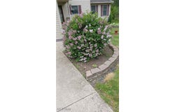 4209 Majorna Drive, West Salem, OH 44287