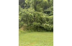 293 Ora Stevens Road, Sandy Hook, KY 41171