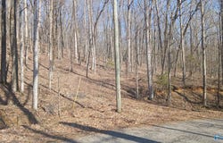377 Blowing Cave Road, Gurley, AL 35748