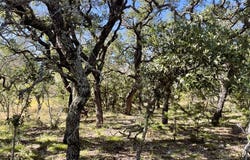 1276 Fm 574 W, Mullin, TX 76864