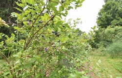 504 Hardscrabble Road, Monkton, VT 05469