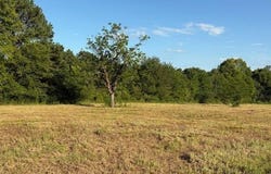 Hempstead 49, Fulton, AR 71838