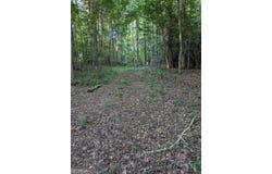 4.2 +/-ACRES River, Ellenwood, GA 30294