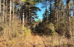 00 Hwy 482, Philadelphia, MS 39350