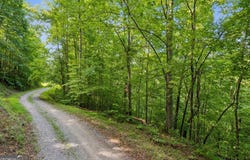 0 Flat Ridge, Ellijay, GA 30540