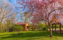 1225 Stoney Road, Peebles, OH 45660