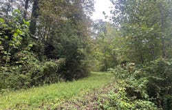 Little Lick Fork Road, Inez, KY 41224