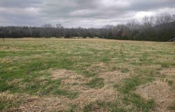 Tract 4 HWY 14 E, Mountain View, AR 72560