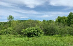 0 Bingham Collins Road, Columbus, NY 13460