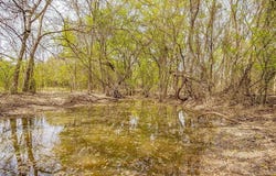 Tbd COUNTY RD 1340, Chico, TX 76431