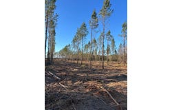 001 Old Camden Road, Bishopville, SC 29010