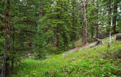 103 MARK COURT, Breckenridge, CO 80424