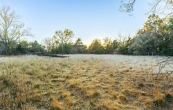 19861 Barnes Cir, CO 80751