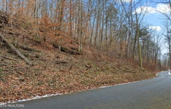 Fox Hollow Lane, Andersonville, TN 37705