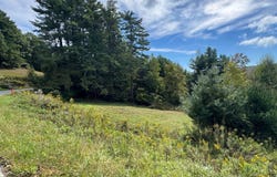 215 Spanish Oak Rd, Newland, NC 28657