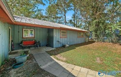 54 Starr Drive, Ashville, AL 35953