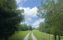 6606  Bear Creek Rd, Rome, IN 47574