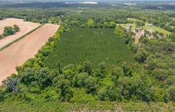 0000 Lewis Rd, Milton, FL 32570