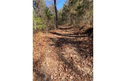 T01S-R15E Kiamichi Wildernes, Daisy, OK 74523
