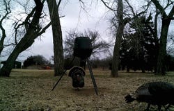 5835 E Oklahoma Ave, Woodward, OK 73801