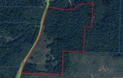 3600 Sand Mountain Road, Enville, TN 38332