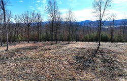 LOT 5 JASON LANE, RIDGELEY, WV 26753