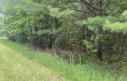 S Poor Farm Road, Harrisville, MI 48740