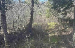 Goodhall Road, Iron River, MI 49935