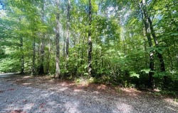 Lot 9 Brush Mountain Circle, Middlesboro, KY 40856