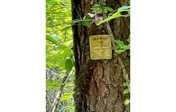 Coperas Cave Branch, Beattyville, KY 41311