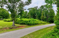 120 Shelton Ave, Grove Hill, AL 36451