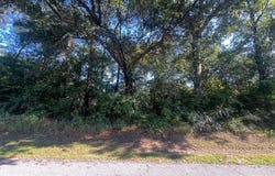 .5 Ac Highway 612, Lucedale, MS 39452
