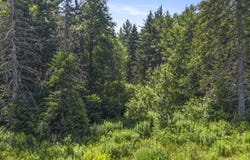 0 Power House Lane, Lake Placid, NY 12946