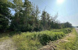 28.95 Acre County Road 432, Gulliver, MI 49840