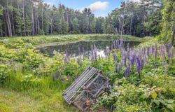 18 Frontier Way, Arundel, ME 04046