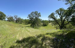 Lot 29 Deer Crest Trail, Cottonwood, CA 96022