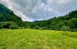 0 Left Fork Marshalls Branch, McRoberts, KY 41537