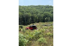 OFF Black Valley (459 acres) Road, Sneedville, TN 37869