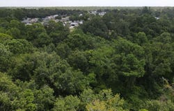 2201 Henderson Street, Waveland, MS 39576