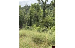 CR 868 lot: 7, Henderson, AR 72544