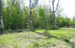 2270 Fir, Harrison, MI 48625