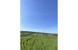 27828 Dobney Avenue, Silver City, IA 51571