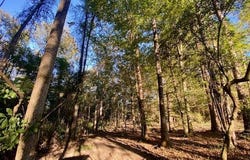 Quinlivan Rd, Magnolia, MS 39652