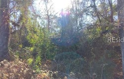 2359 Broughton Street, Orangeburg, SC 29115