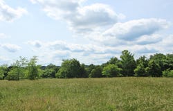 000 Couty Road 7830, Caulfield, MO 65626