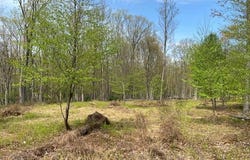 69 EDGE ROCK DRIVE, DRUMS, PA 18222