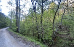 9999 Saddler Road, Manchester, KY 40962