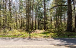 0 Squaw Point Road, Holcombe, WI 54745